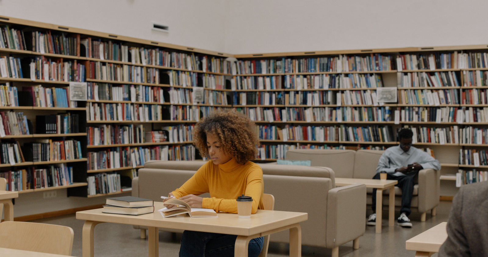 Vista Information library services